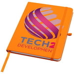 10601331_DP_Y1-id400-jan26.jpg