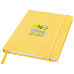 10690409_PP_Y1-id400-jan26.jpg
