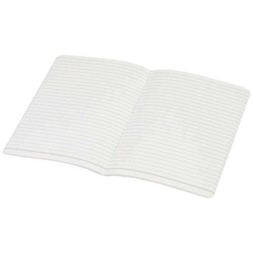10781401_E1-id400-jan26.jpg