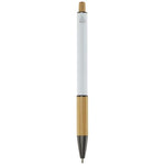 10787601_B1-id400-jan26.jpg