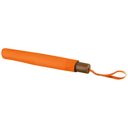 10905802_P1-id400-jan26.jpg