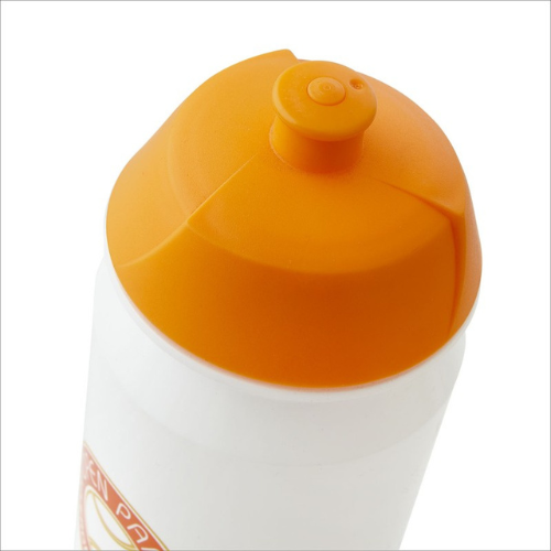 GOURDE 500mL