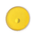 1850_03_2_1-id506-fev26.jpg