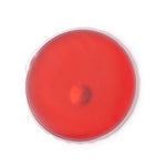 1850_60_2_1-id506-fev26.jpg