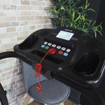 1PA05800_D2-id400-mai26.jpg
