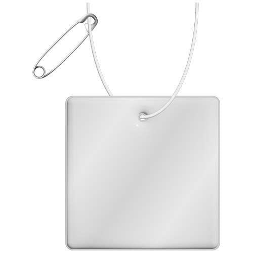 1PR13101-id400-jan26.jpg