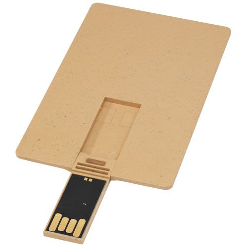 1Z48506-id400-jan26.jpg
