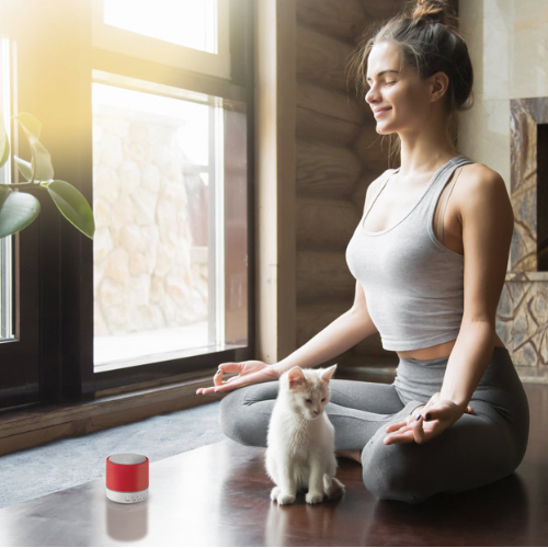 Enceinte portable avec microphone