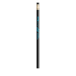 BIC Evolution avec Gomme