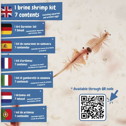 35828_100-f-id561-jan26.jpg