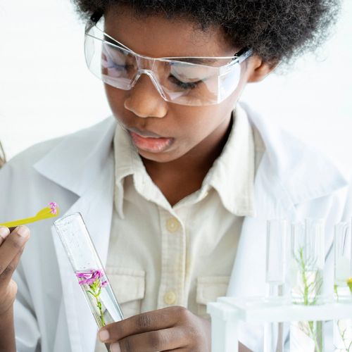35842_100-d-id561-jan26.jpg