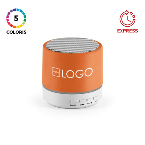 Enceinte portable avec microphone