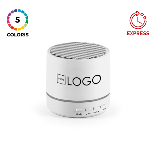 Enceinte portable avec microphone