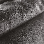 70877_TT_2026.jpg