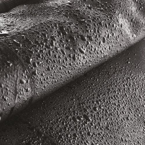 70877_TT_2026.jpg