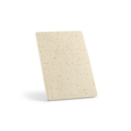 ANT025_167-AOD-2026.jpg