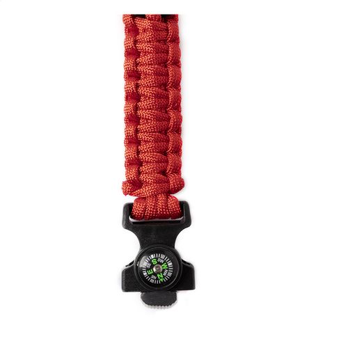 AP721473-05__D-id444-avril26.jpg