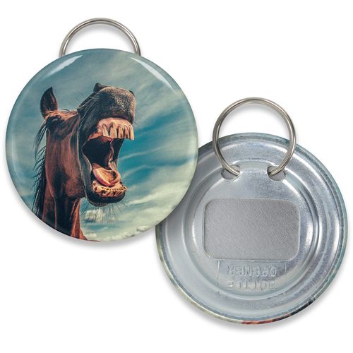 BADEC_MIF_horse-id345-mai26.jpg