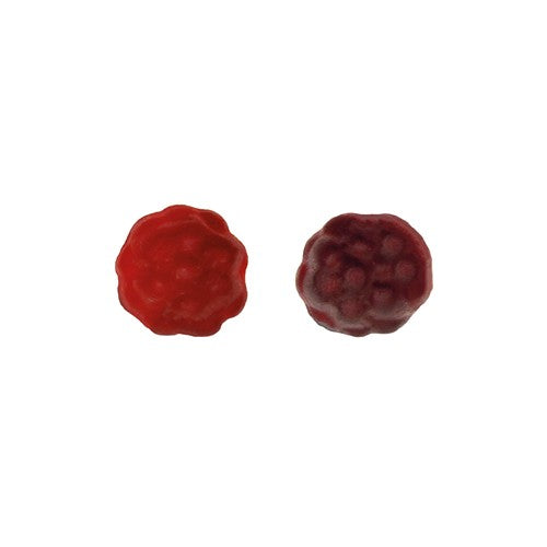BIO_Beerenfruechtchen_B3-id601-fev26.jpg