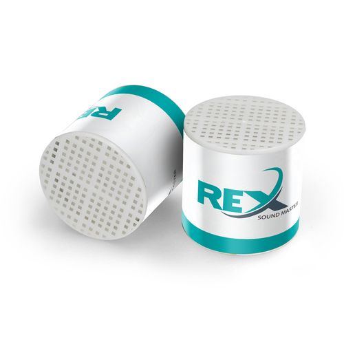 BMEUH_Rex-id345-mai26.jpg