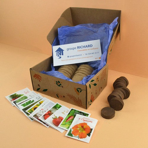 BOX09XL_0040-BD-id374-fev26.jpg