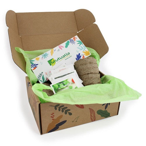 BOX09XL_exemple_1-id374-fev26.jpg