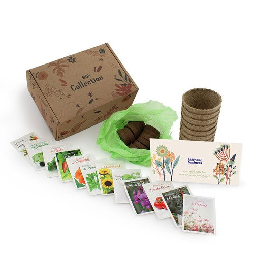 BOX09XL_exemple_2-id374-fev26.jpg