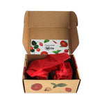 BOX09_exemple_1-id374-fev26.jpg
