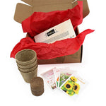 BOX09_exemple_2-id374-fev26.jpg