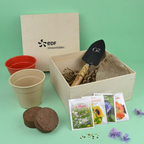 BOX11_0061-BD-id374-fev26.jpg
