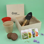 BOX11_0061-BD-id374-fev26.jpg