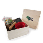 BOX11_exemple_1-id374-fev26.jpg