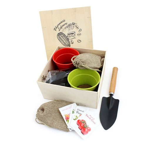 BOX11_exemple_2-id374-fev26.jpg
