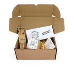 BOX13_exemple_1-id374-fev26.jpg