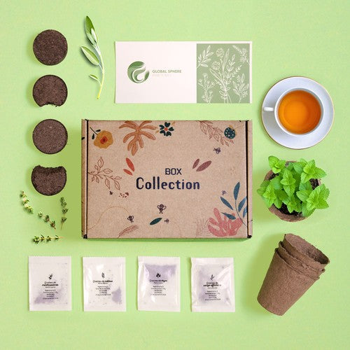 BOX15_0Box-collection-tisane-packshot-carre_BD-id374-fev26.jpg