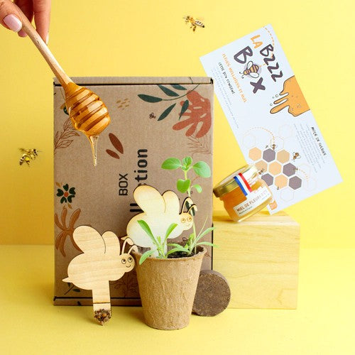 BOX16_0Bzzz-box-packshot-carre_BD-id374-fev26.jpg