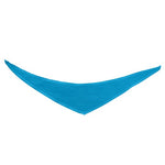 Bandana_S_turquoise_Devant_BANDANAPELUCHE-S_CYBER25.jpg