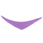 Bandana_S_violet_Devant_BANDANAPELUCHE-S_CYBER25.jpg