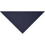 Bandana_triangle_marine_Devant_MB6524_CYBER25.jpg
