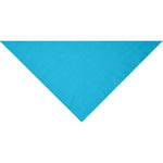 Bandana_triangle_turquoise_Devant_MB6524_CYBER25.jpg