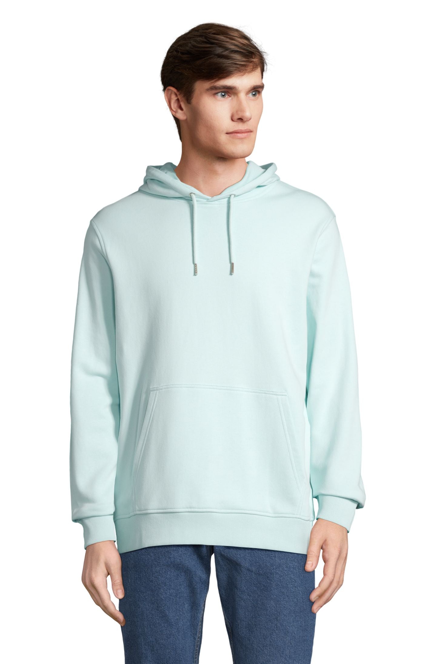Bleu Arctique