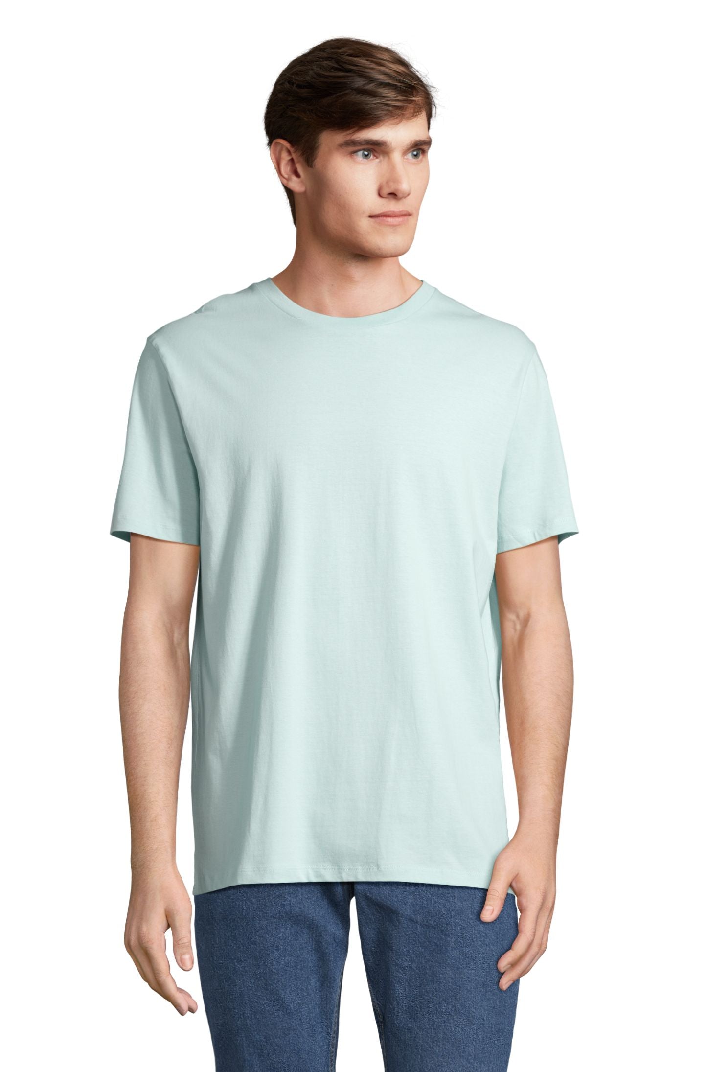 Bleu Arctique