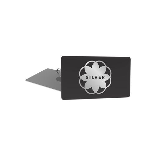 BpSlim-silver-doming-rectangular-pinandclutch-1-id732-juin25.jpg