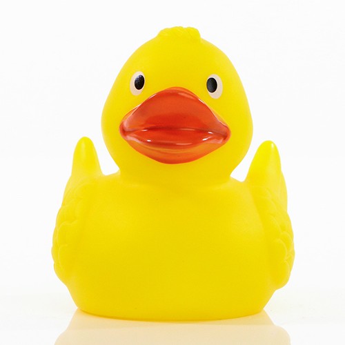 Canard_L_jaune_Devant_M131004L_CYBER26.jpg