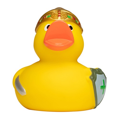 Canard_fete_jaune_Devant_M131141_CYBER26.jpg