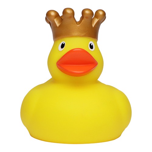 Canard_fete_jaune_Devant_M131178_CYBER26.jpg