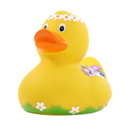 Canard_fleurs___M131290_CYBER25.jpg