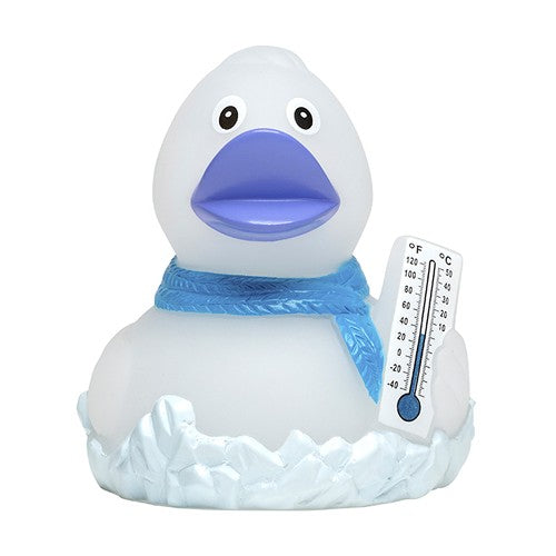 Canard_givre_blanc_Devant_M131294_CYBER26.jpg