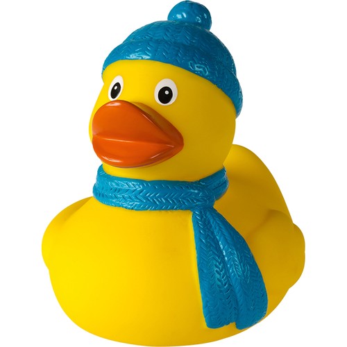 Canard_hiver___m131135_CYBER25.jpg