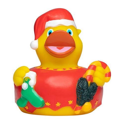Canard_hiver_jaune_Devant_M131109_CYBER26.jpg